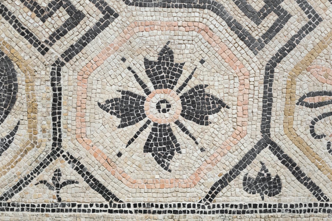 Geometric Pattern from the Via San Rocchino Domus, 2nd Century AD by Roman