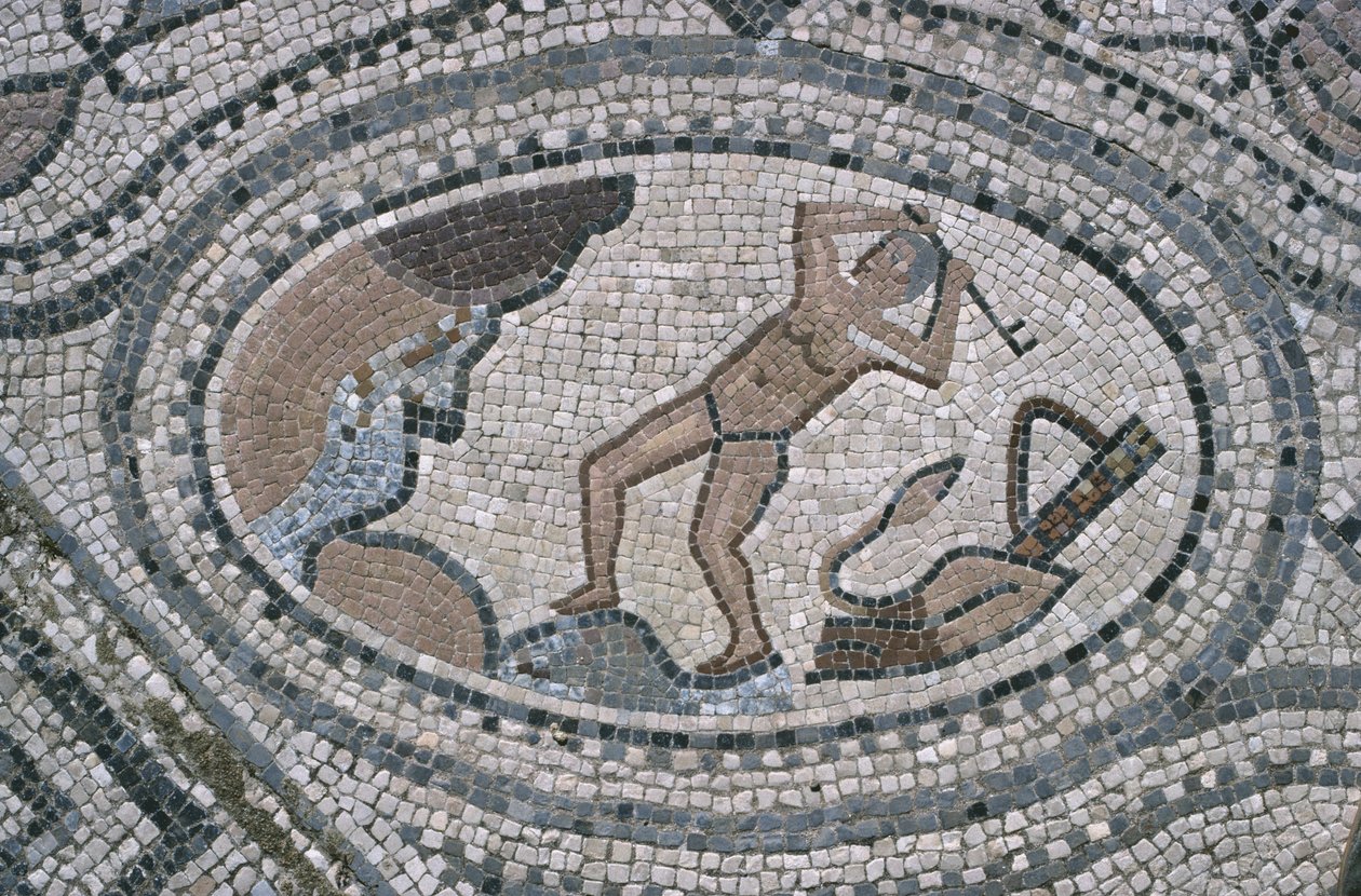 Hercules and the Augean Stables, from the floor of 'The House of Hercules'