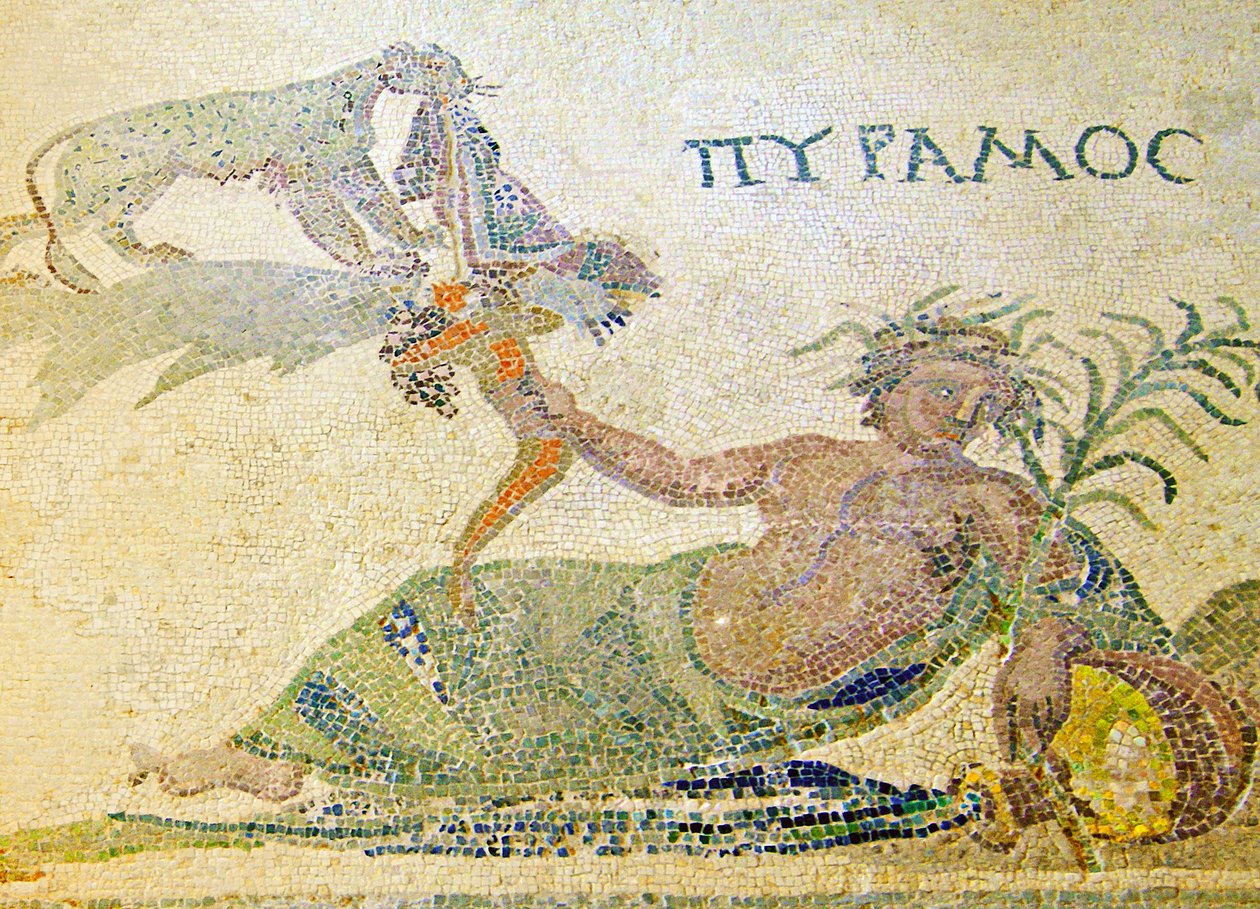 Pyramus and Thisbe, Detail of Pyramus and the Leopard, House of Dionysos, Paphos, Cyprus by Roman
