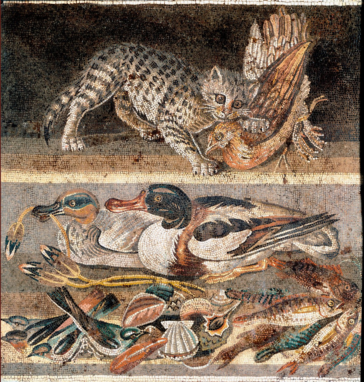 Roman art: cat eating a partridge, and wild ducks by Roman