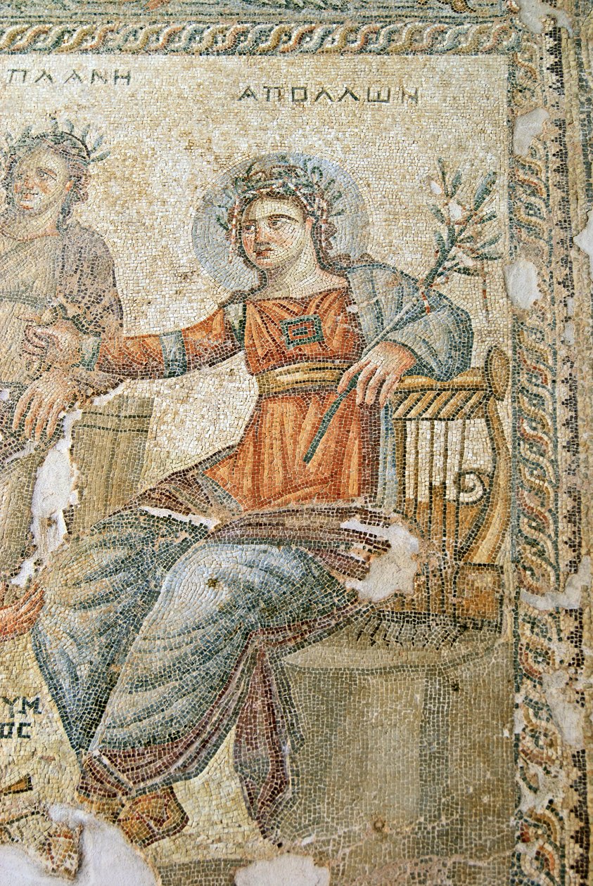 The Apollo and Marsyas Mosaic, Detail of Pliny and Apollo, House of Aion, Paphos, Cyprus by Roman