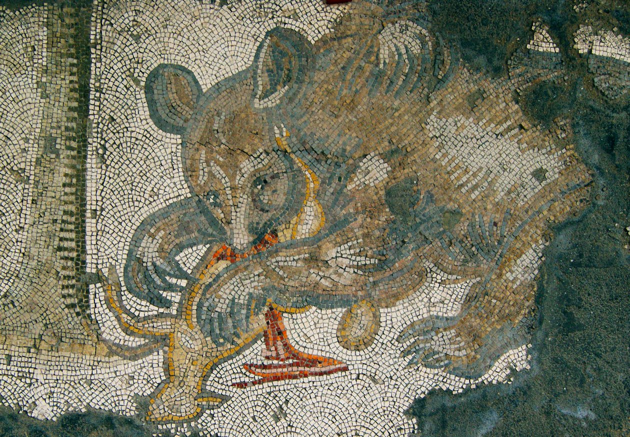 Unknown Image by Roman