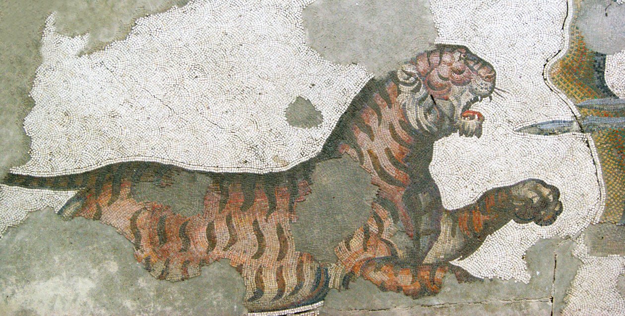 Unknown Image by Roman