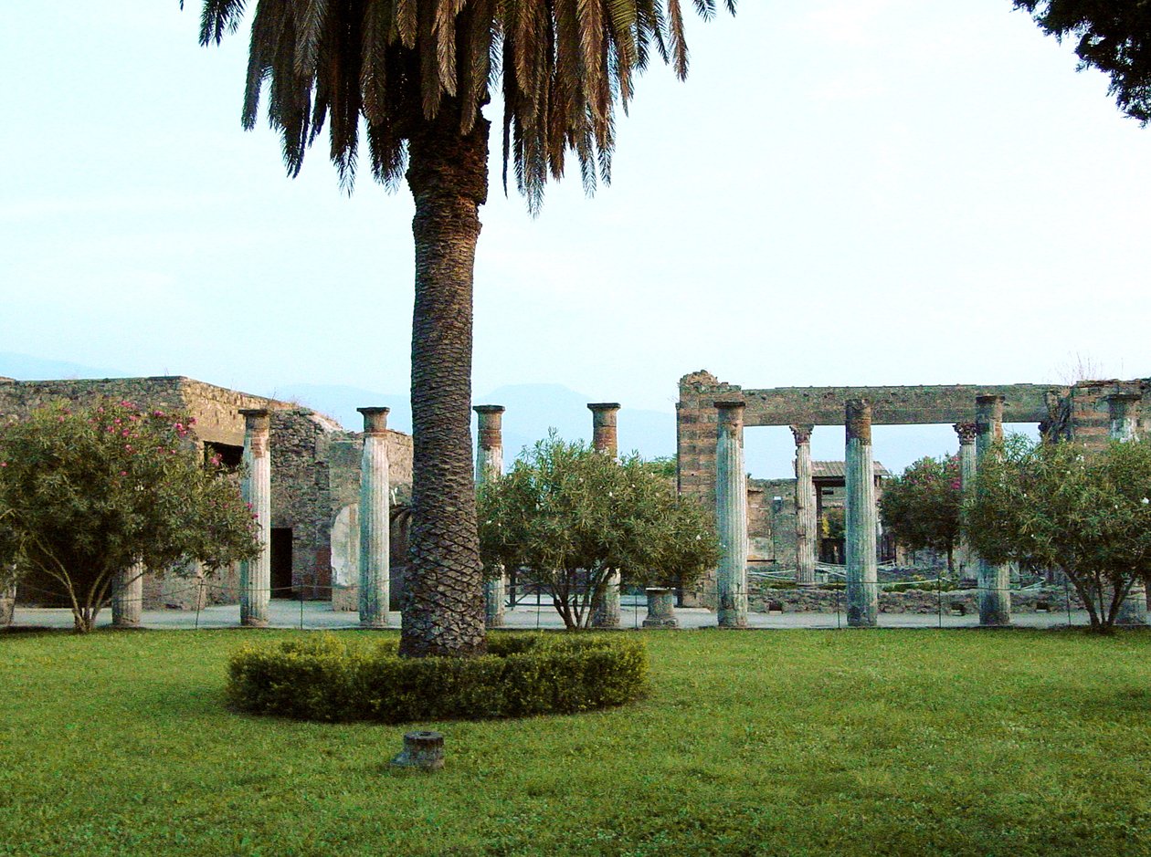 View of the House of the Casa dei Vettii (House of the Vettii) by Roman