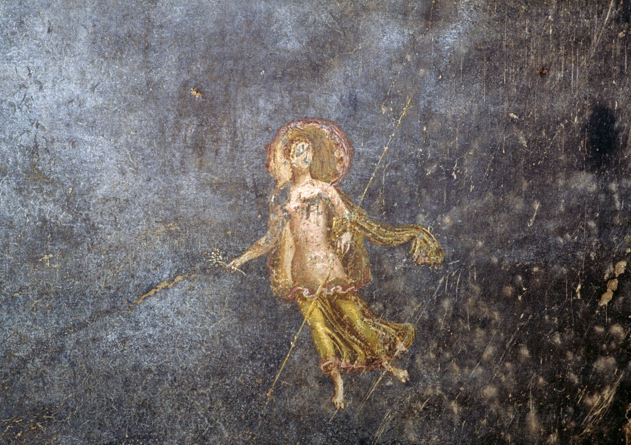 Fresco from House of Menander, Pompeii by Roman Roman