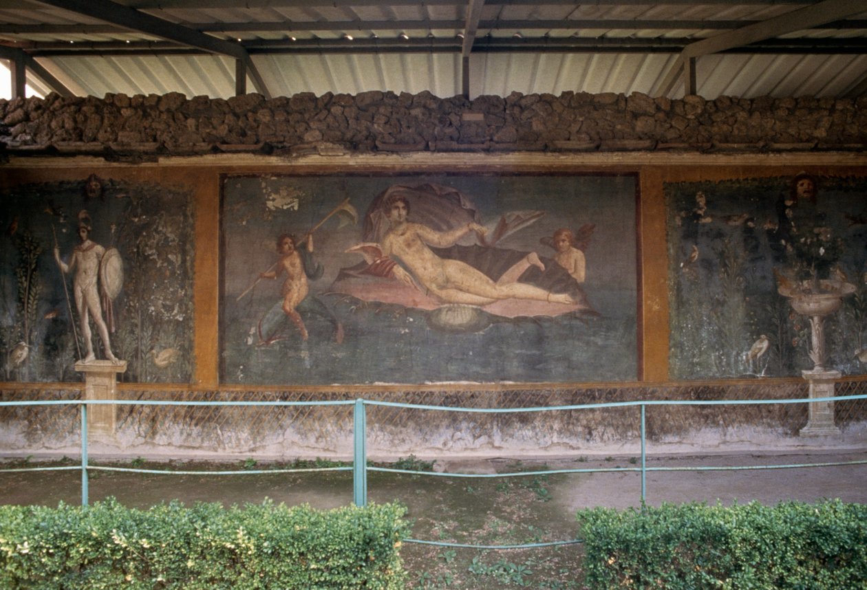 Venus in shell, fresco from peristylium in House of Venus in Shell, Pompeii by Roman Roman