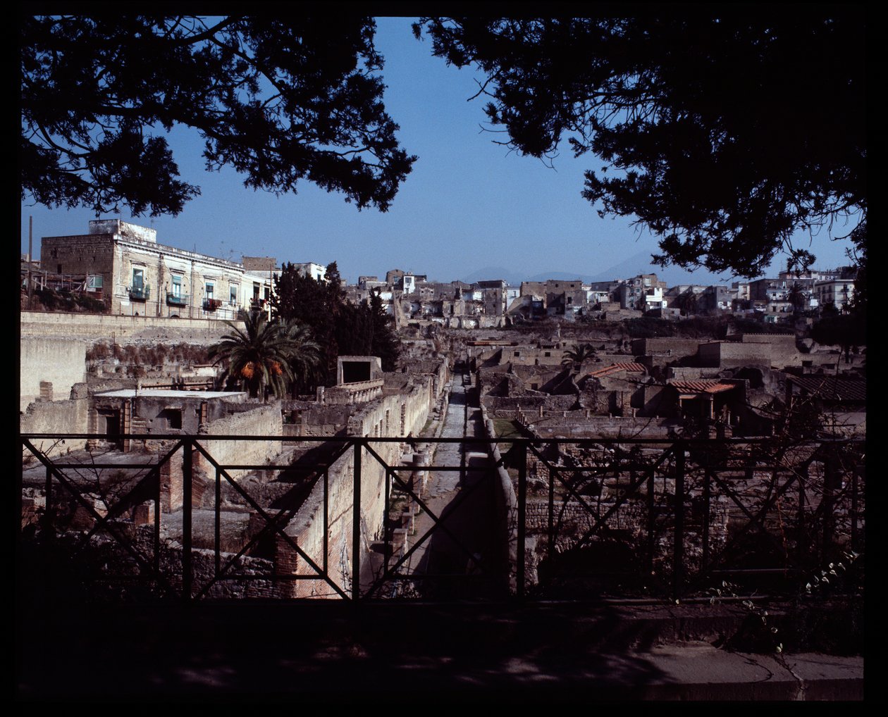 View of Cardo III by Roman Roman