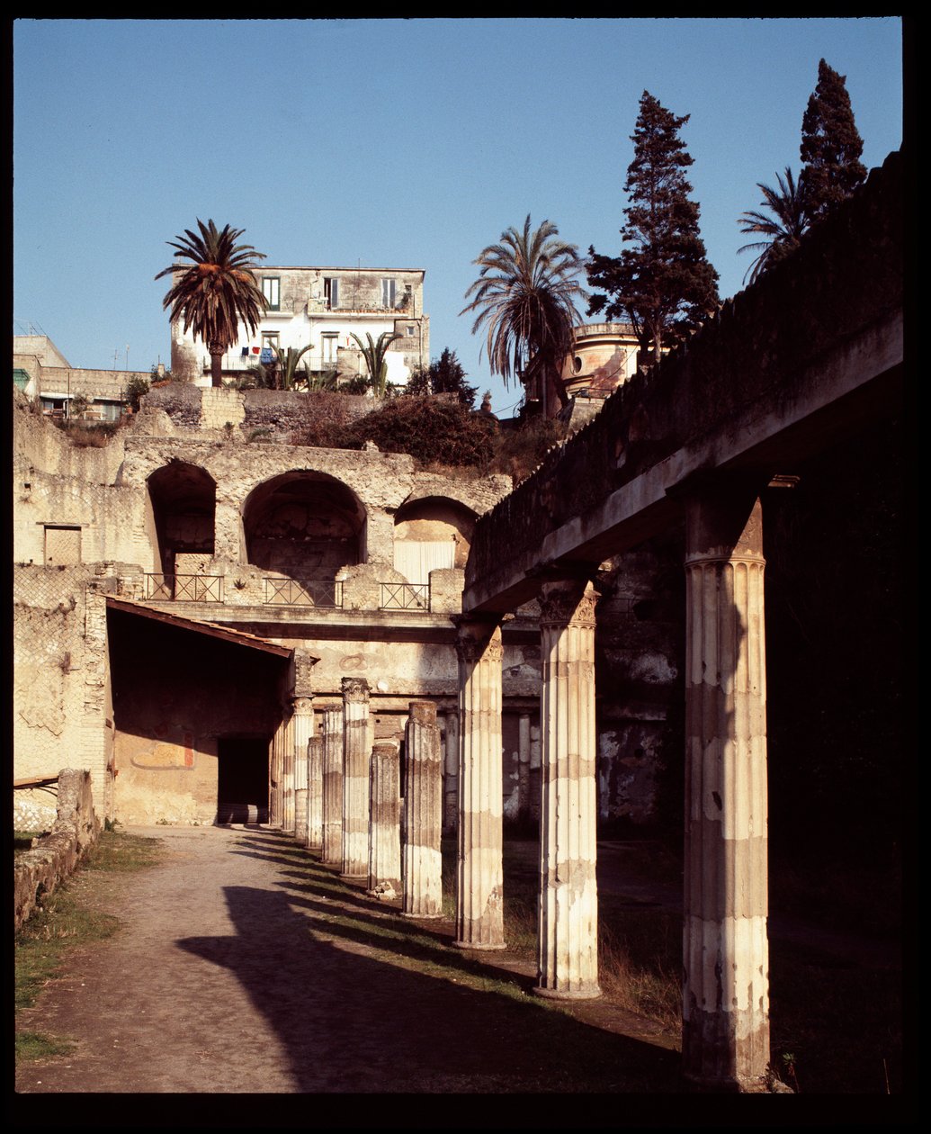 View of the Palestra by Roman Roman: Buy fine art print