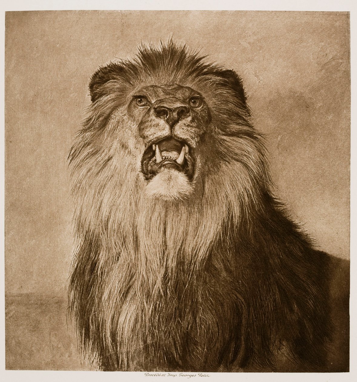 Roaring Lion by Rosa Bonheur