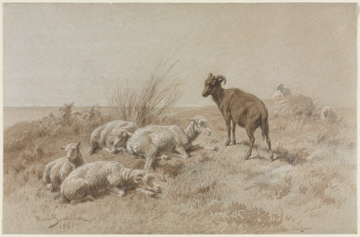 Sheep by Rosa Bonheur