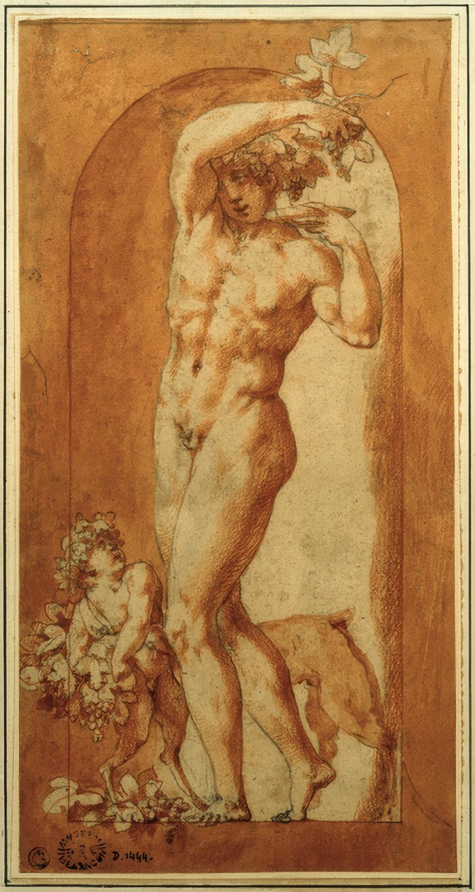 Bacchus in Niche by Rosso Fiorentino