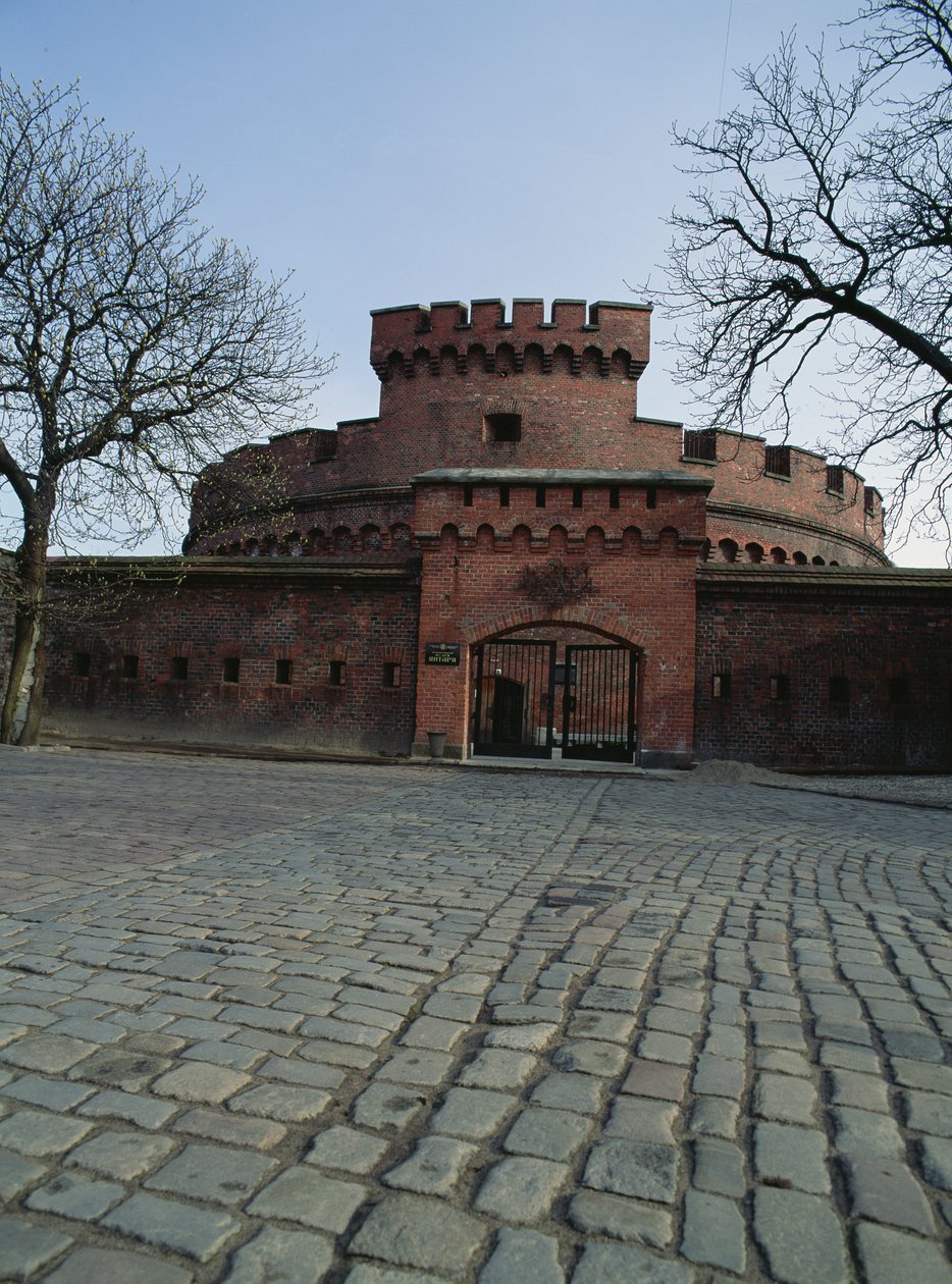 View of the Dohna Tower, Housing the Amber Museum by Russian School