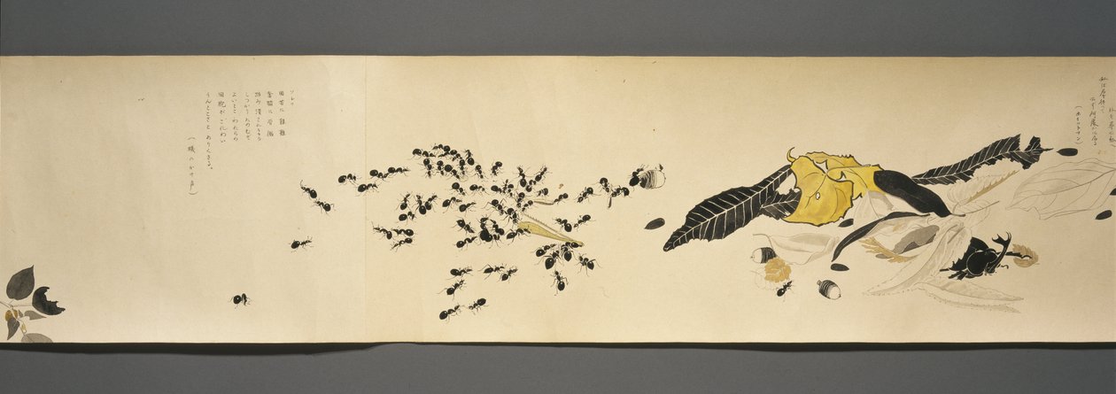 Wildlife Friends (Yasei no Tomo), Taisho Period, Taisho 7th Year, c.1918 by Ryoka Kawakami