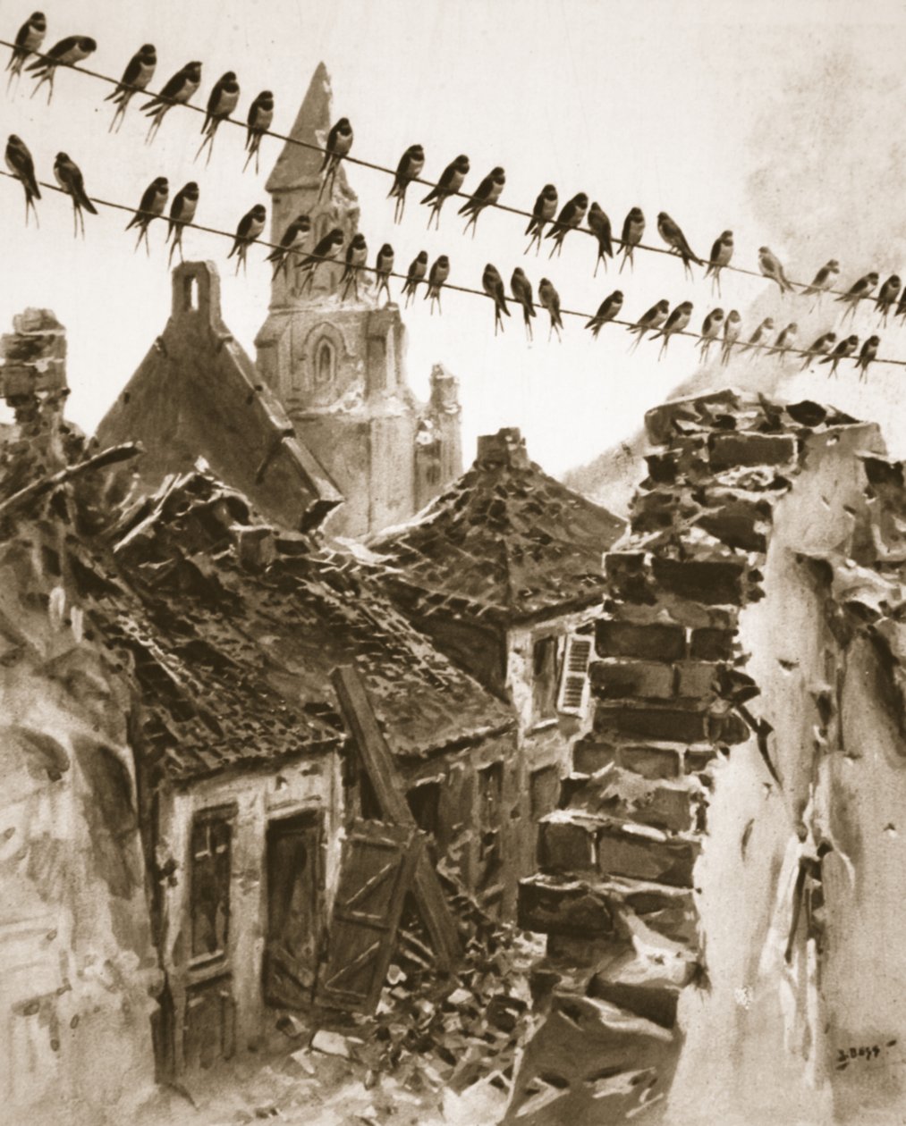 Soissons during the war: a congress of swallows discussing matters before migrating, illustration from 