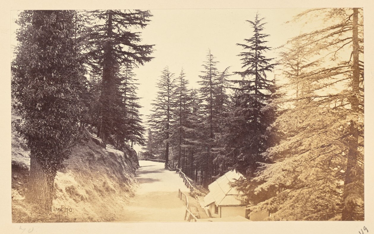Simla; The Mall below the Club by Samuel Bourne