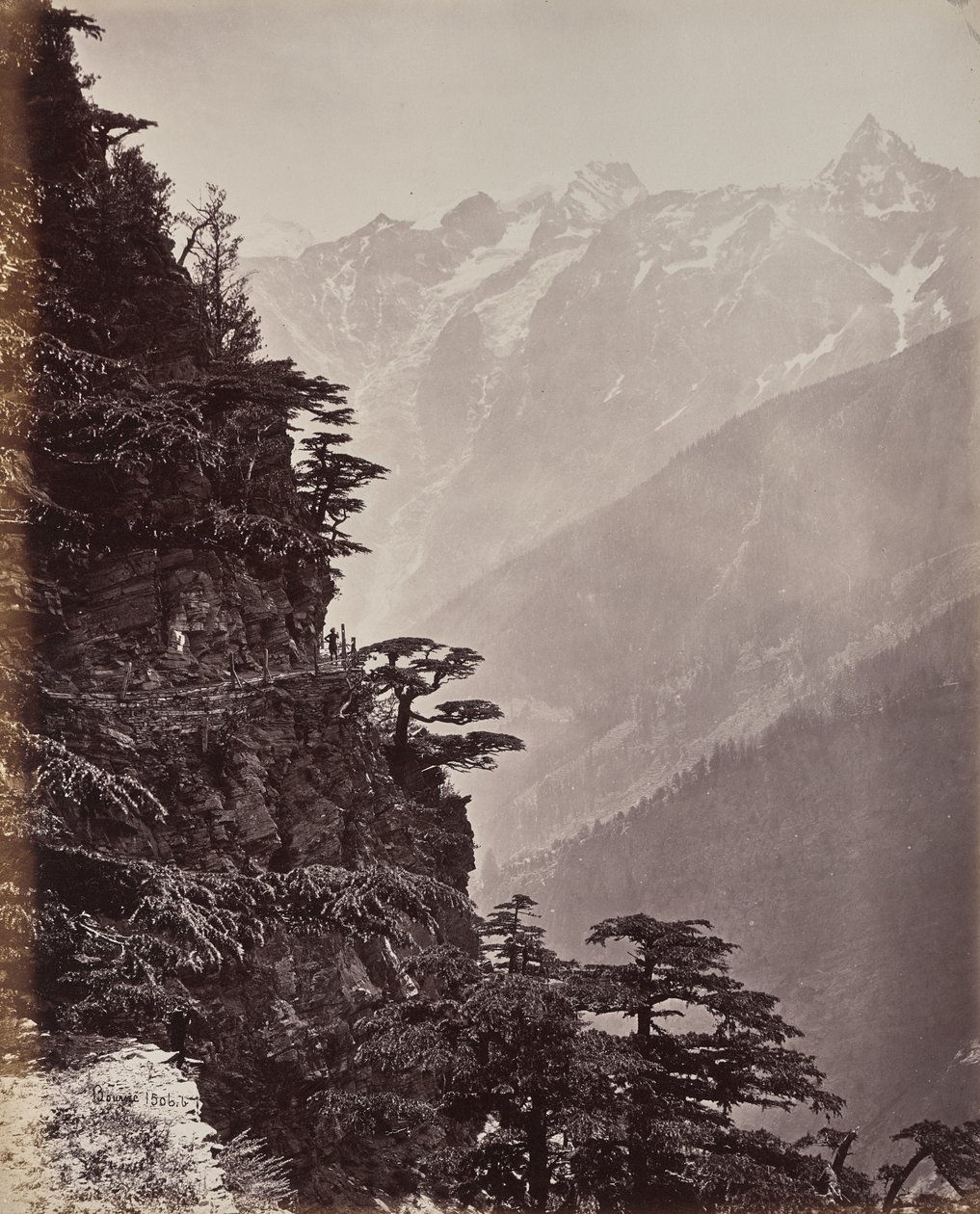 The Upper Himalayas. View on the New Road Near Rogi by Samuel Bourne