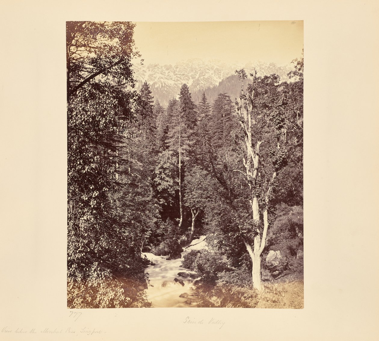 View Below the Meribul Pass, Singapore by Samuel Bourne