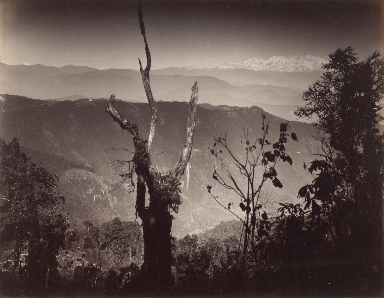 View from Senchal by Samuel Bourne