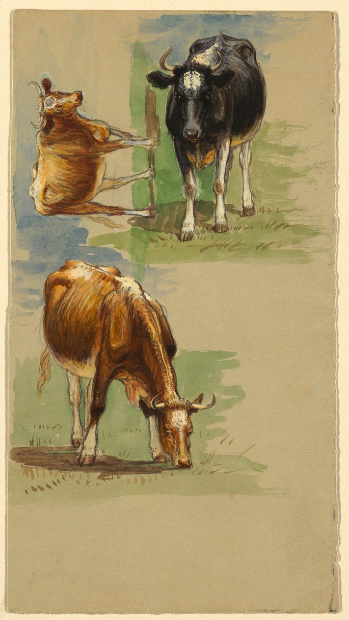 Drawing, Cattle, Steers, 1875–80 by Samuel Colman