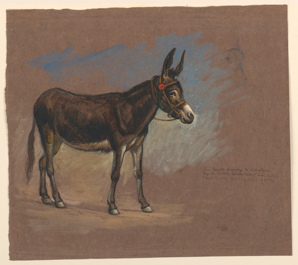 Study: A Mule, 1872–75 by Samuel Colman