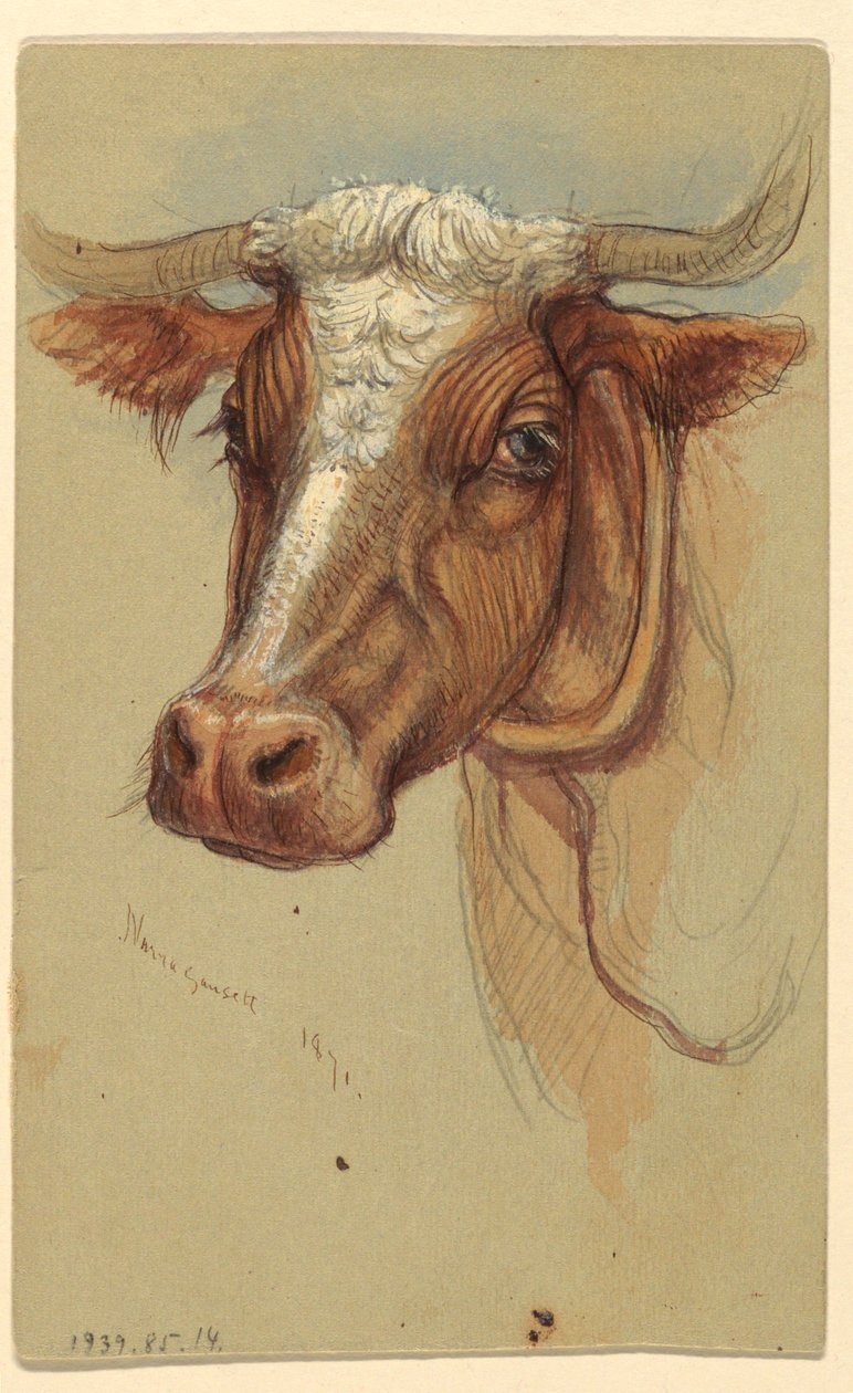 Sketches from Narragansett, Rhode Island by Samuel Colman