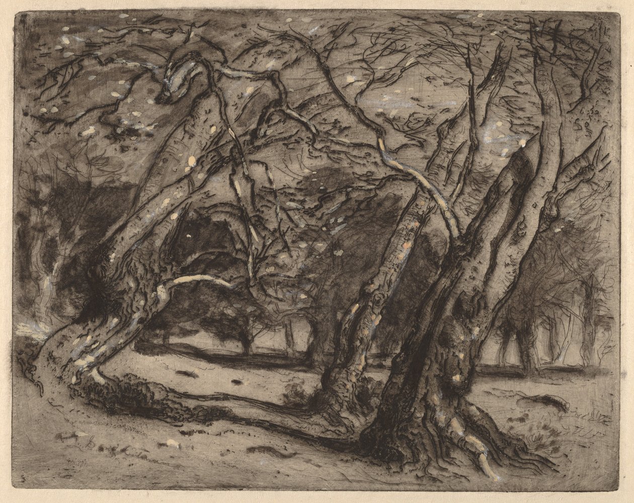 Untitled (Wooded Landscape) by Samuel Colman