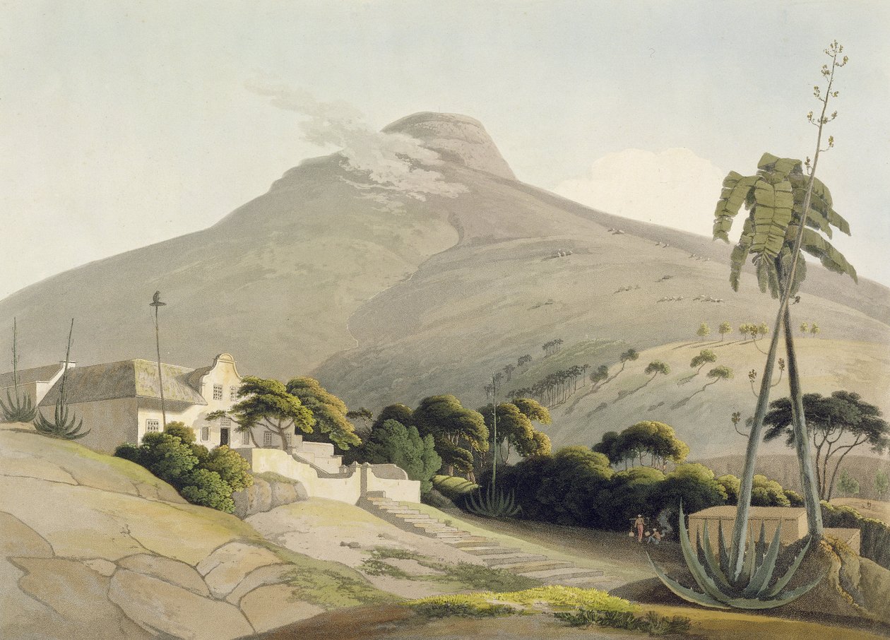 View of the Lion