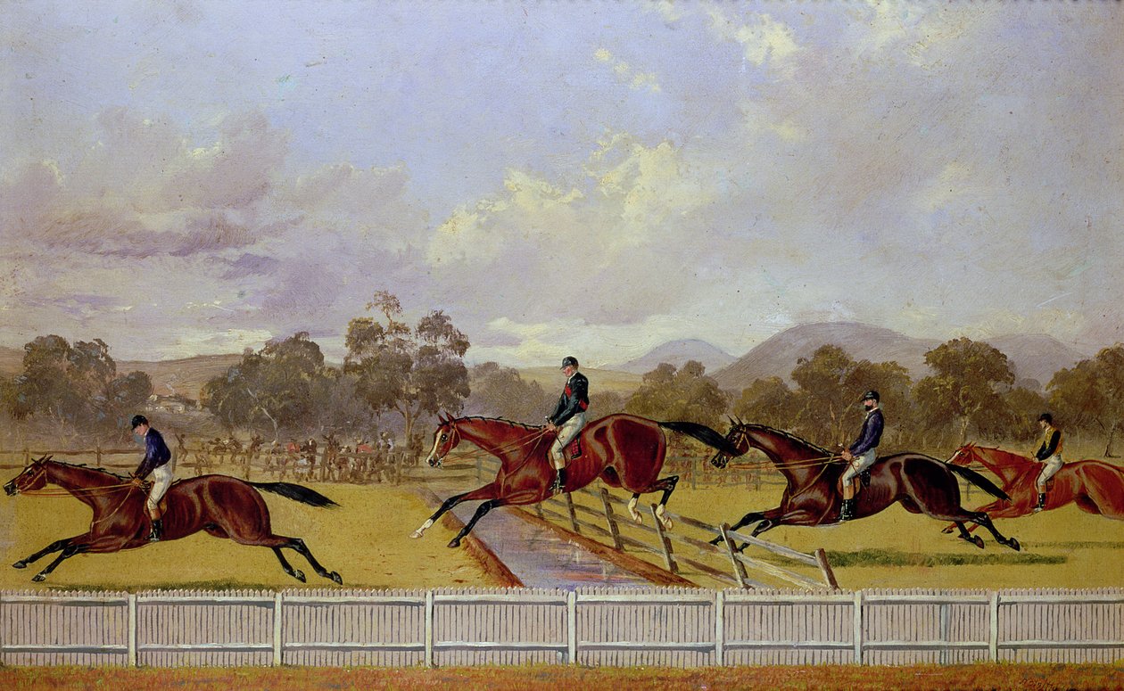 A Steeplechase by Samuel Henry Alken