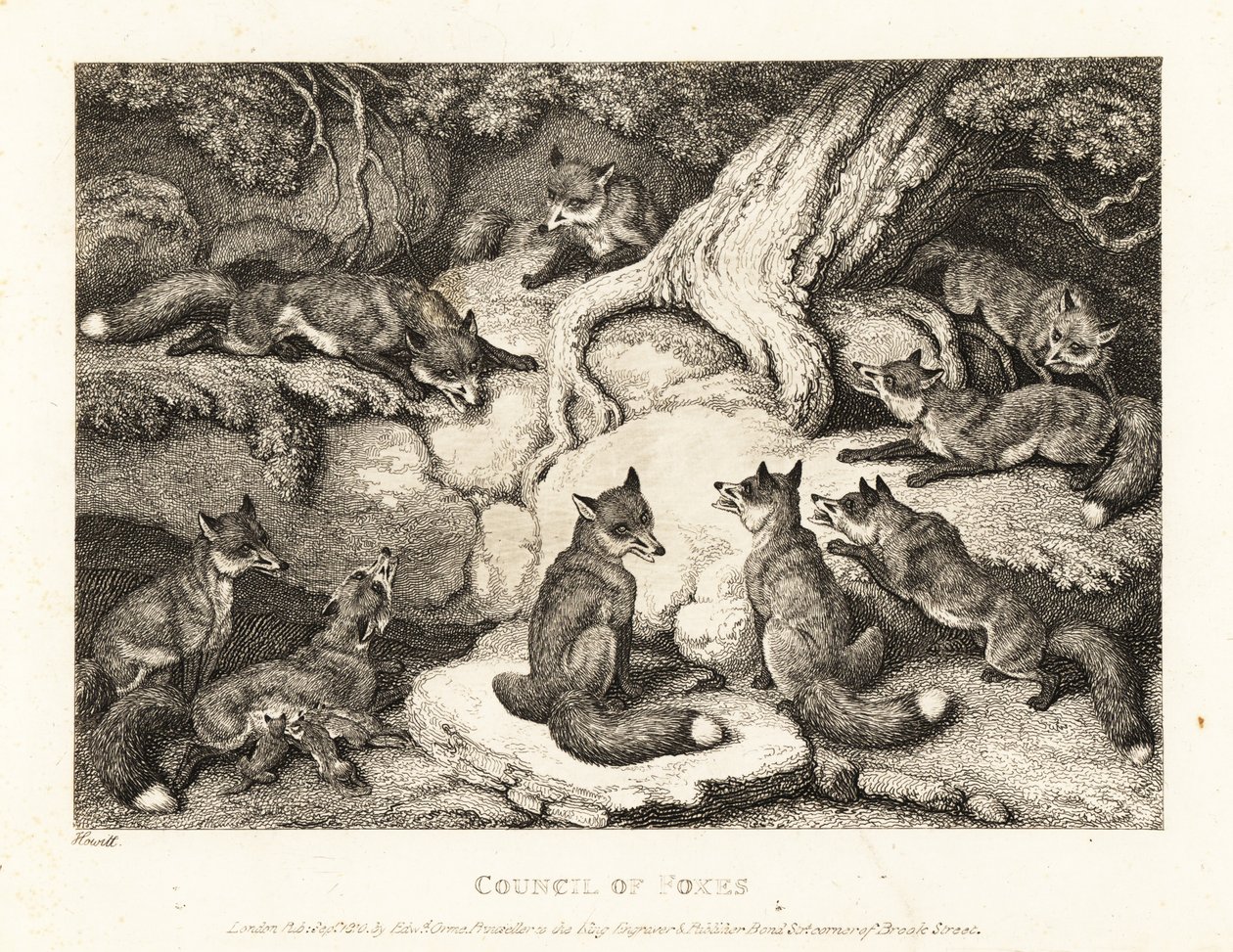 A pack of foxes meeting in a forest by Samuel Howitt