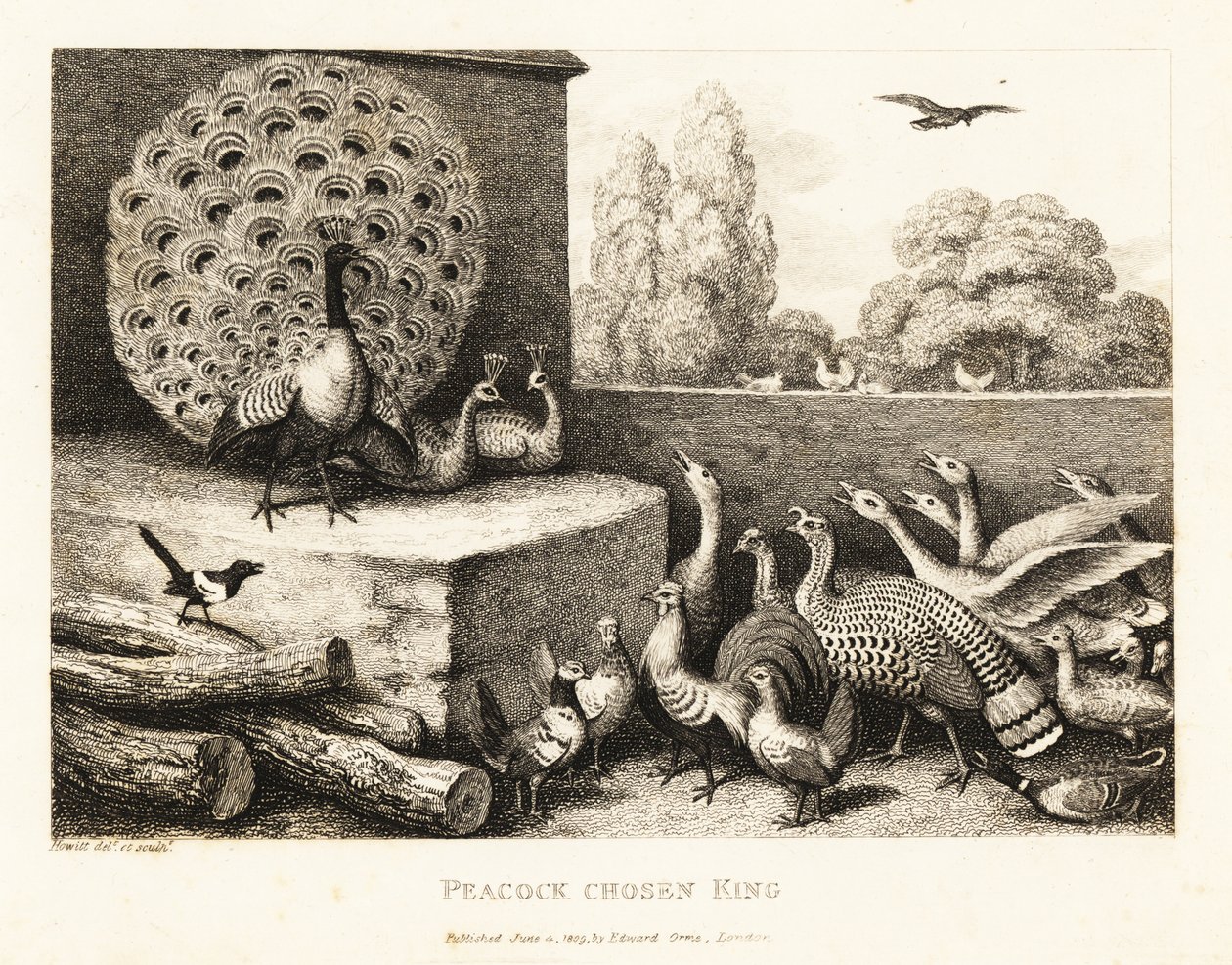 A Peacock Chosen King of the Farm Birds by Samuel Howitt