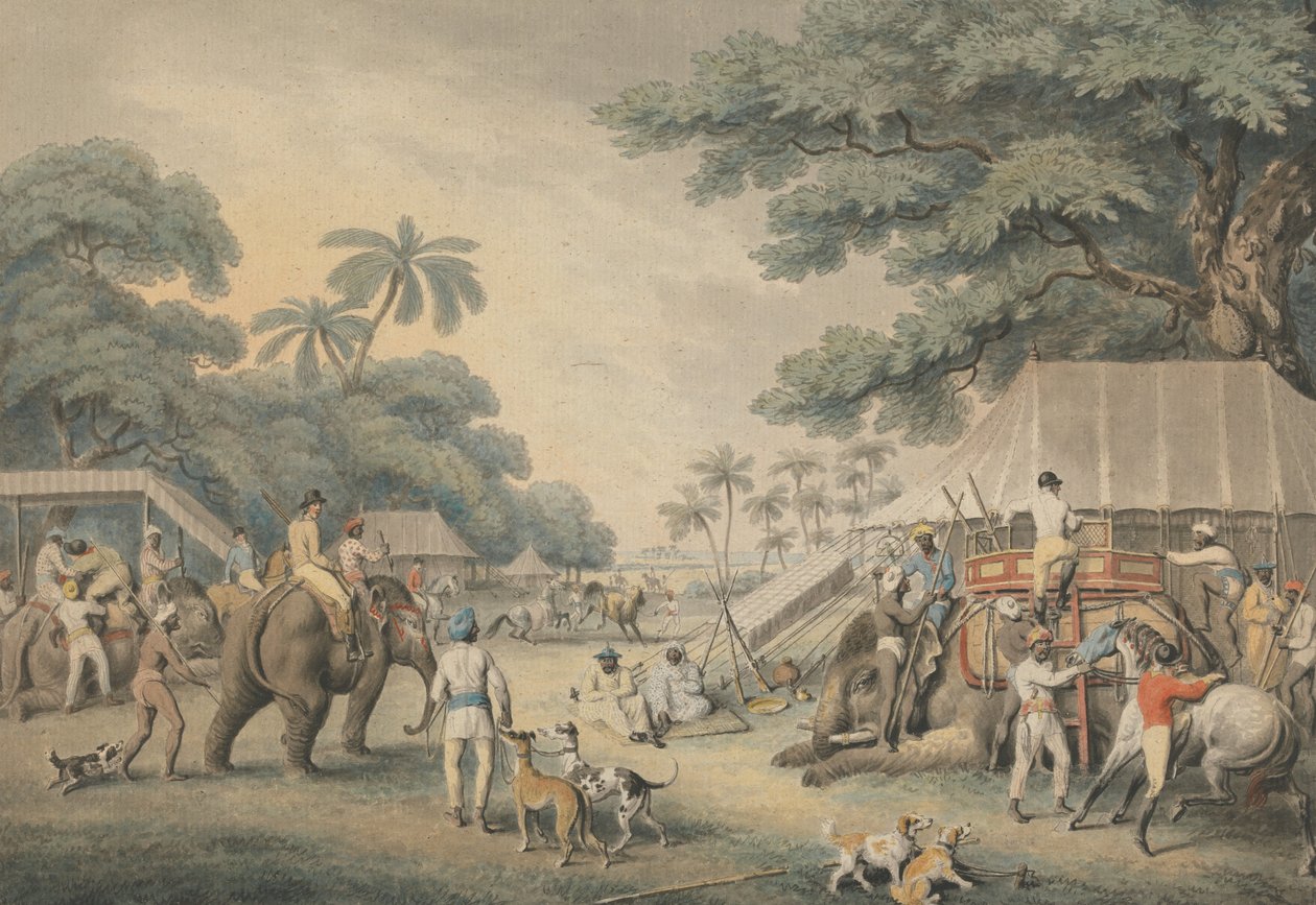 Going Out in the Morning: an Illustration for Captain Thomas Williamson