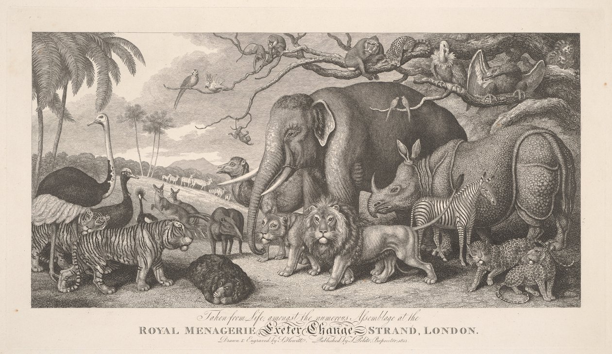 Taken from Life, amongst the numerous Assemblage at the Royal Menagerie, Exeter Exchange, Strand, London by Samuel Howitt