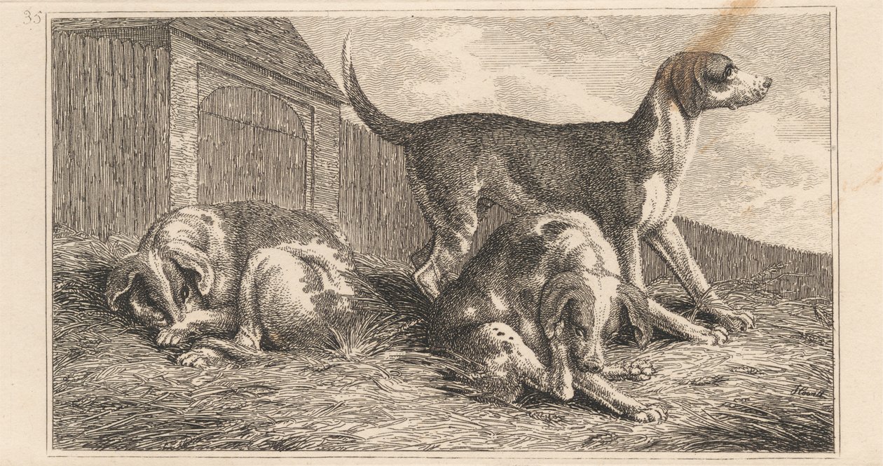 Three Dogs by Samuel Howitt