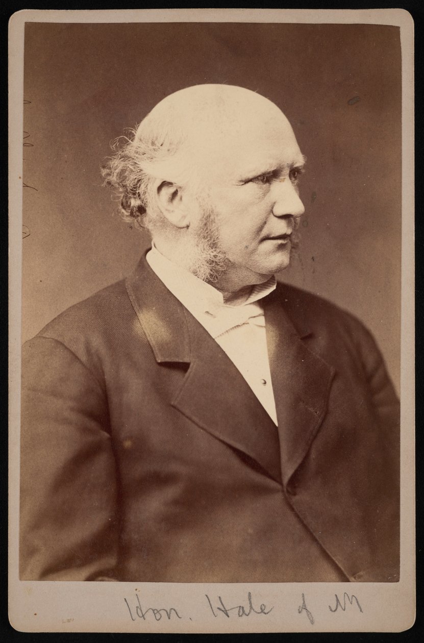 Portrait of Robert Safford Hale by Samuel Montague Fassett