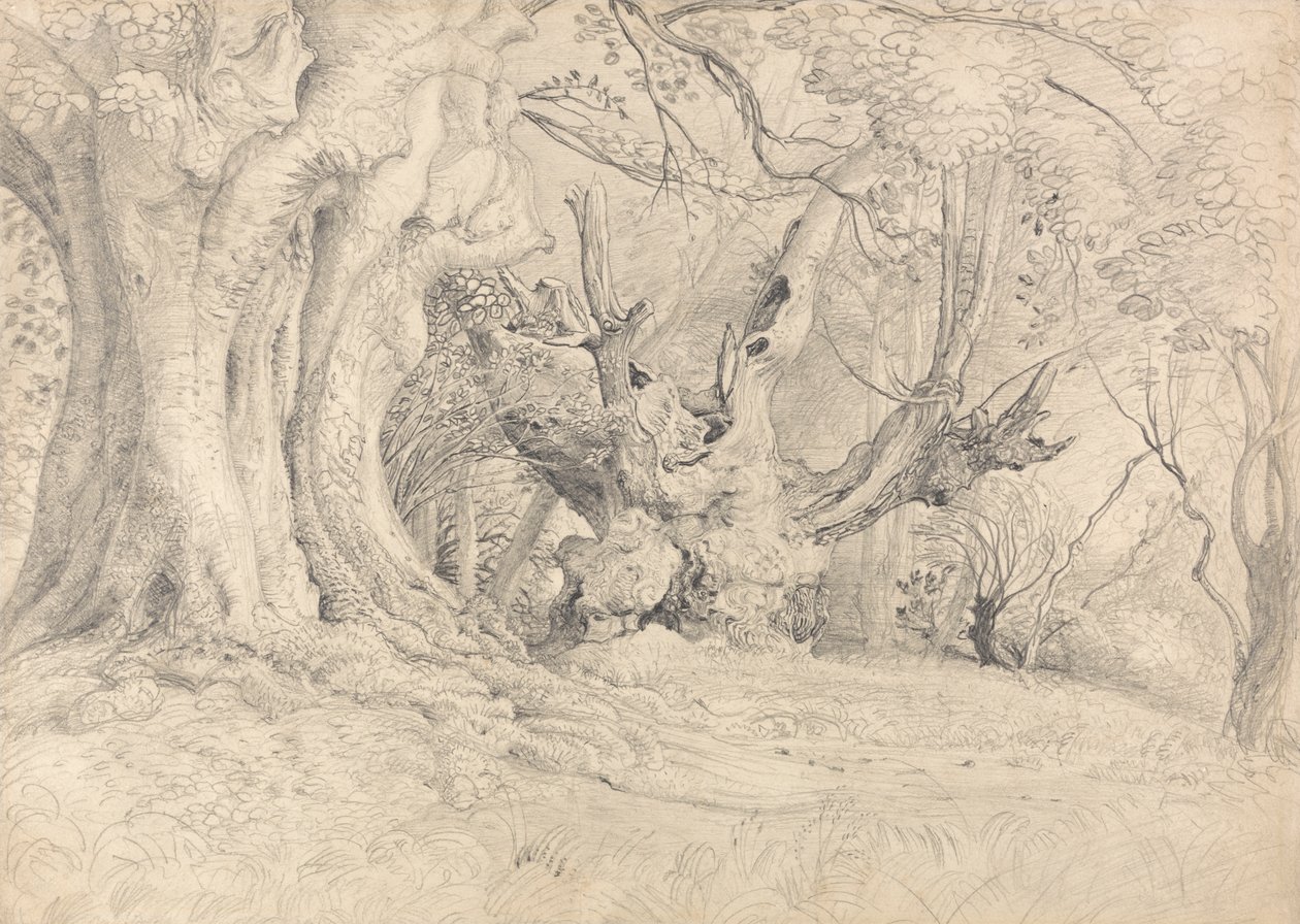 Ancient Trees, Lullingstone Park by Samuel Palmer