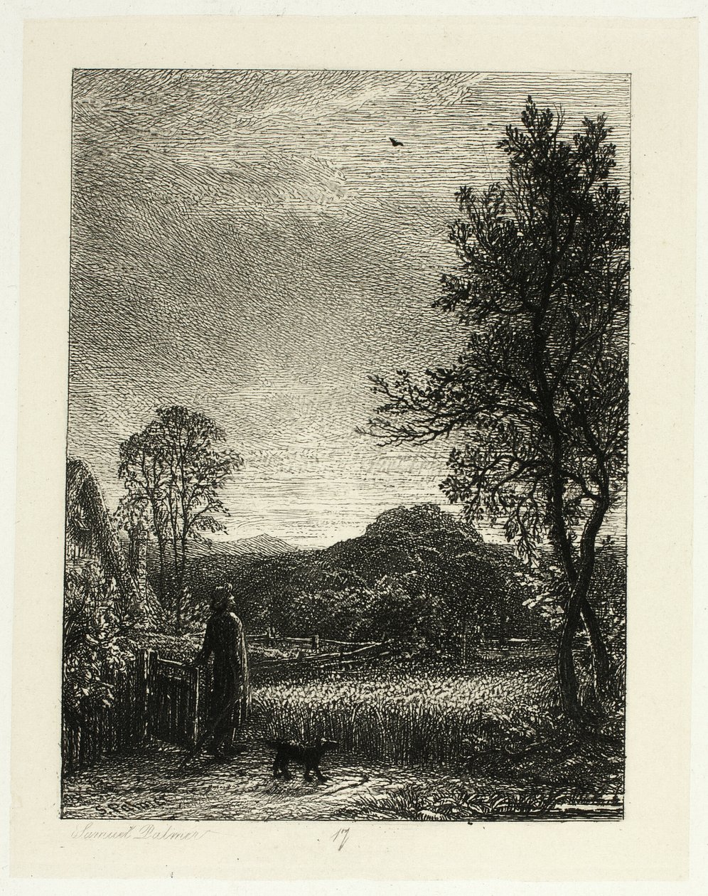 The Skylark by Samuel Palmer
