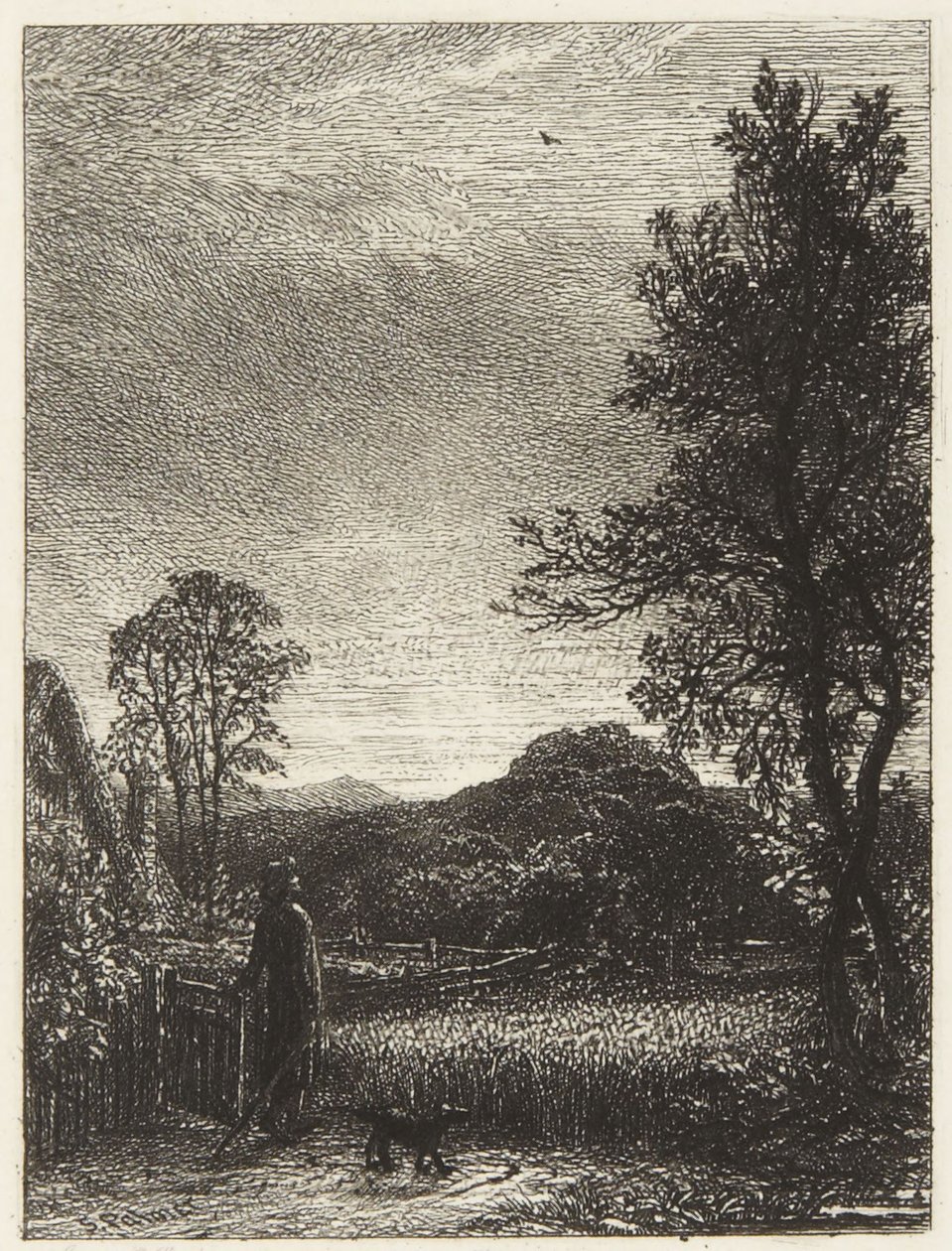 The Skylark by Samuel Palmer