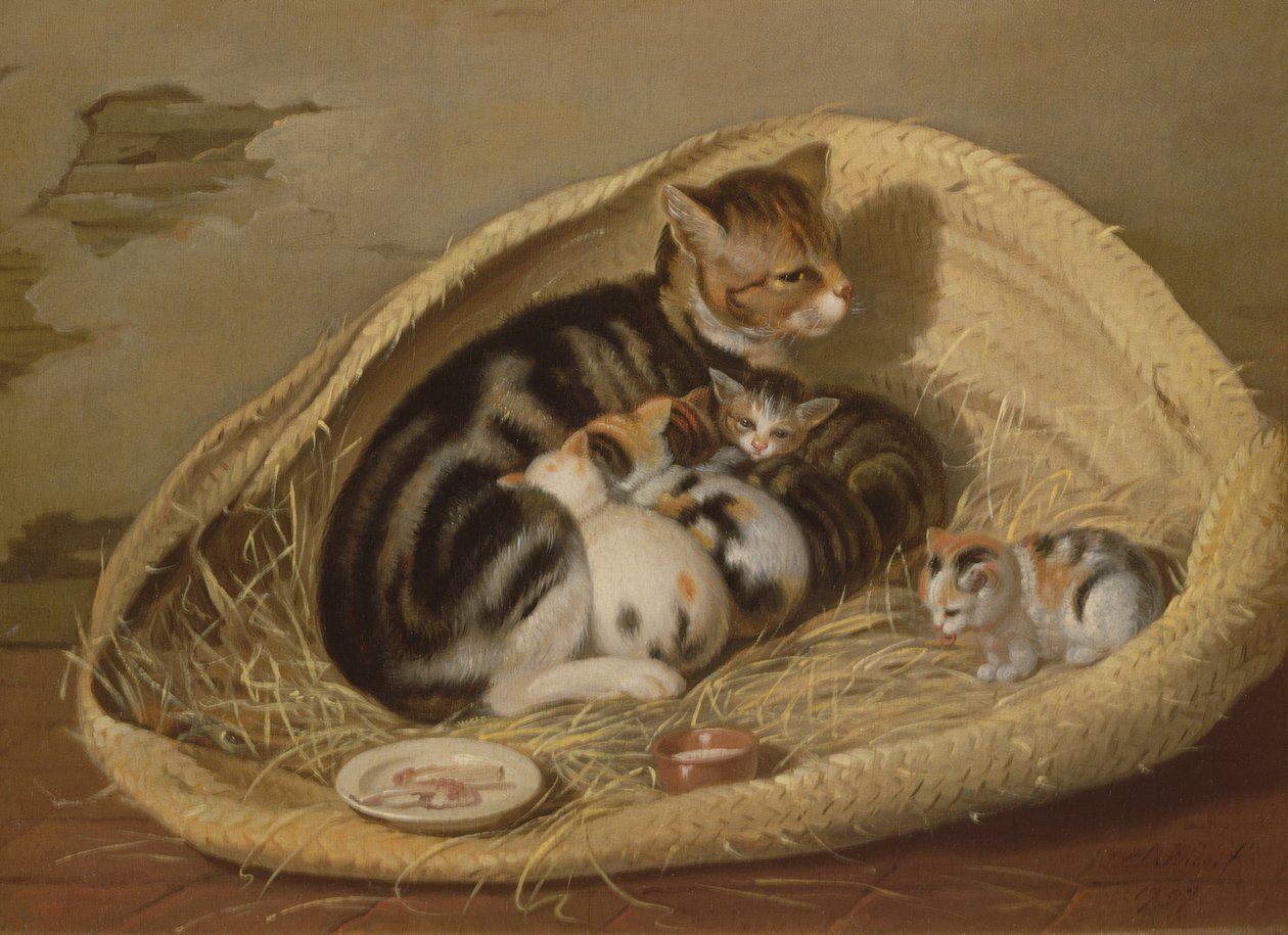 Cat with Her Kittens in a Basket by Samuel de Wilde