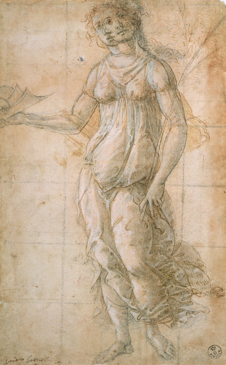 Study of Athene by Sandro Botticelli