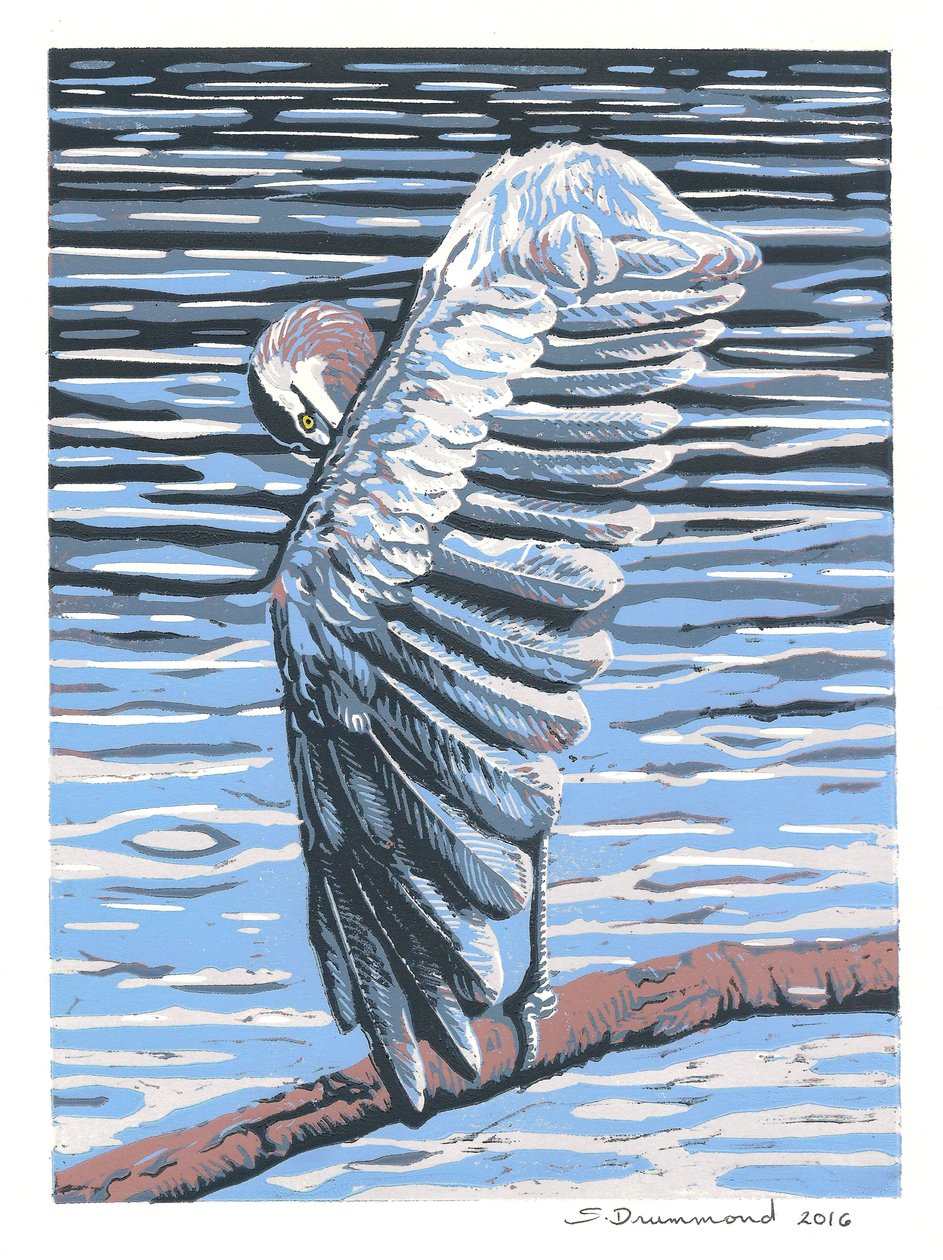 Reflection, 2016 by Sarah Drummond