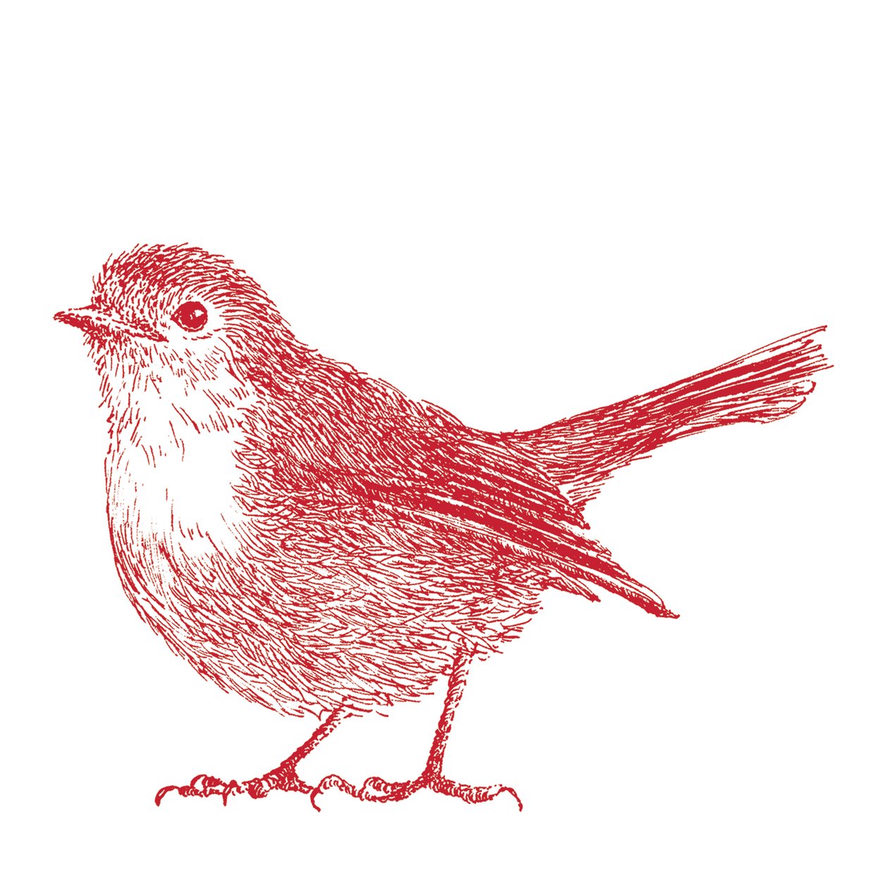 Robin, 2017 by Sarah Hough