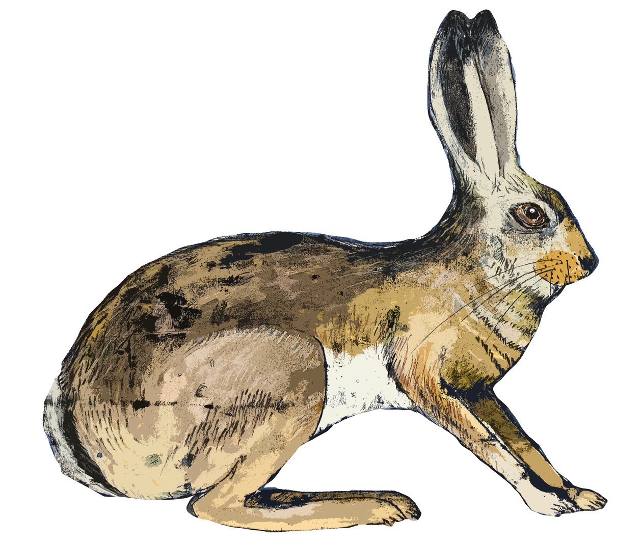 Hare, 2024 by Sarah Thompson Engels
