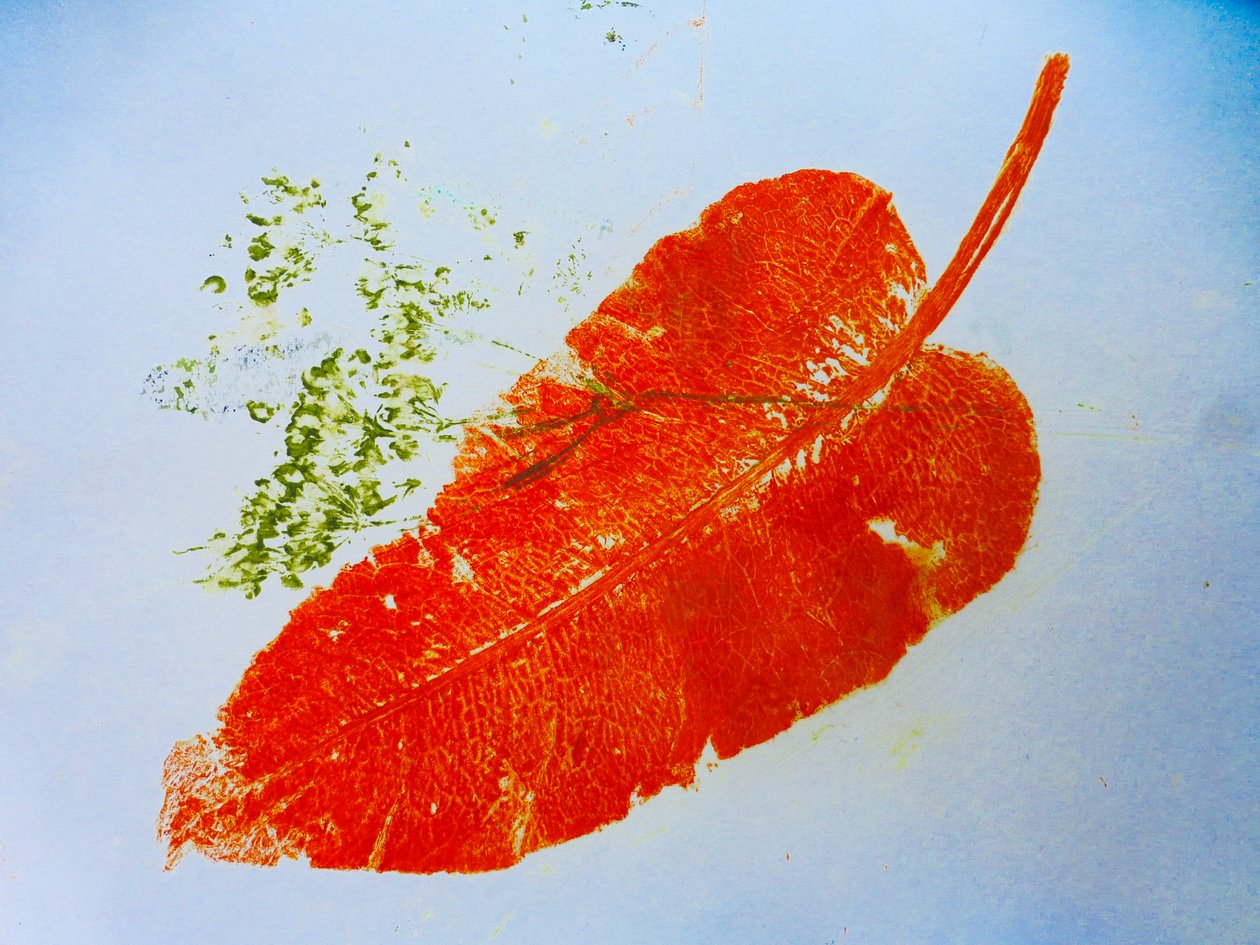 Orange Leaf by Sarah Thompson Engels