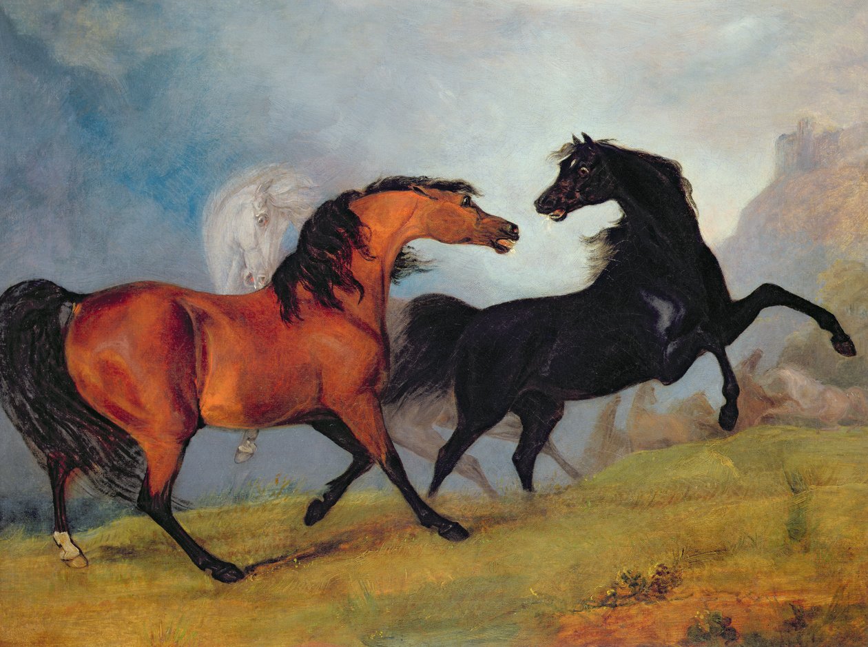 Horses Fighting by Sawrey Gilpin