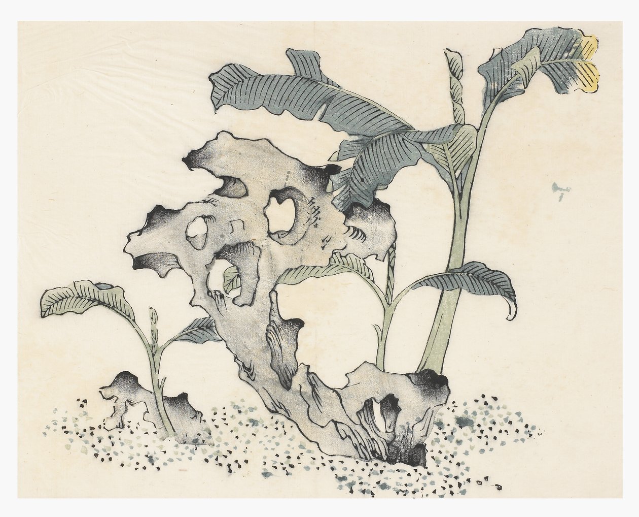 Ten Bamboo Series by School Chinese