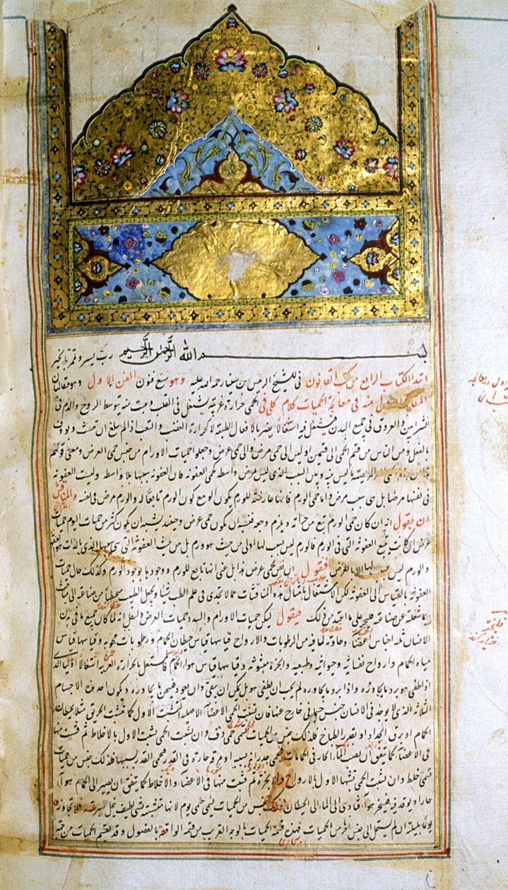 Page from The Canon of Medicine by Avicenna by School Iranian