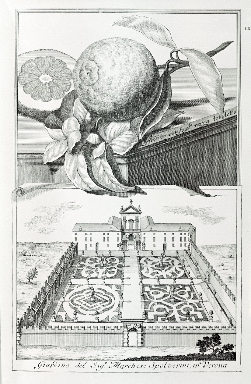 Villa of Marquis Spolverini of Verona, from "Villas, Gardens and Landscapes in Venice" by A. Volkamer by School Italian