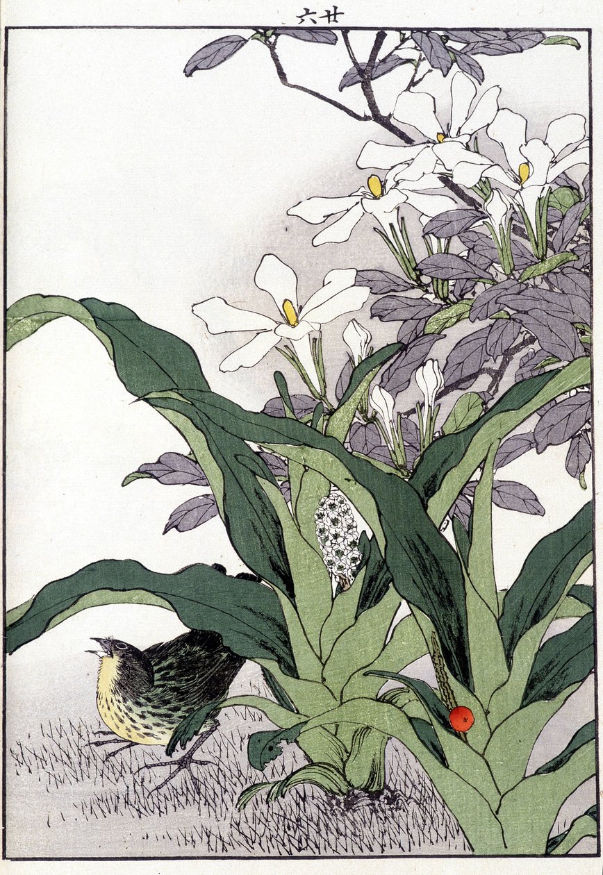 Bird in the flowers - Japanese print by Japanese School
