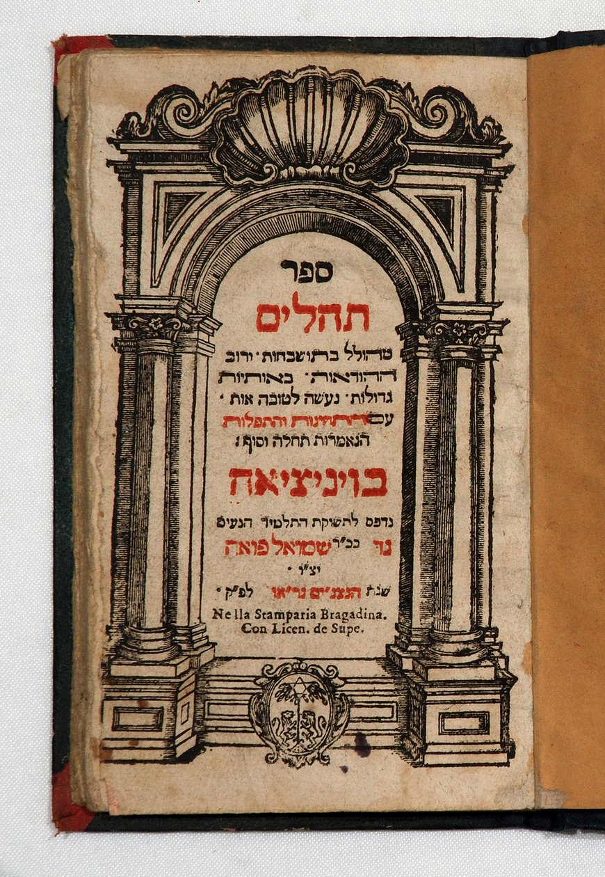 Book of Tehilim by School Jewish