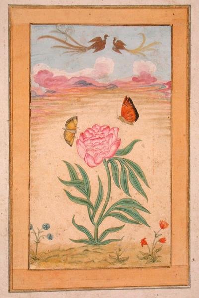 Flowering plants with birds of paradise and butterflies, from the Small Clive Album by School Mughal